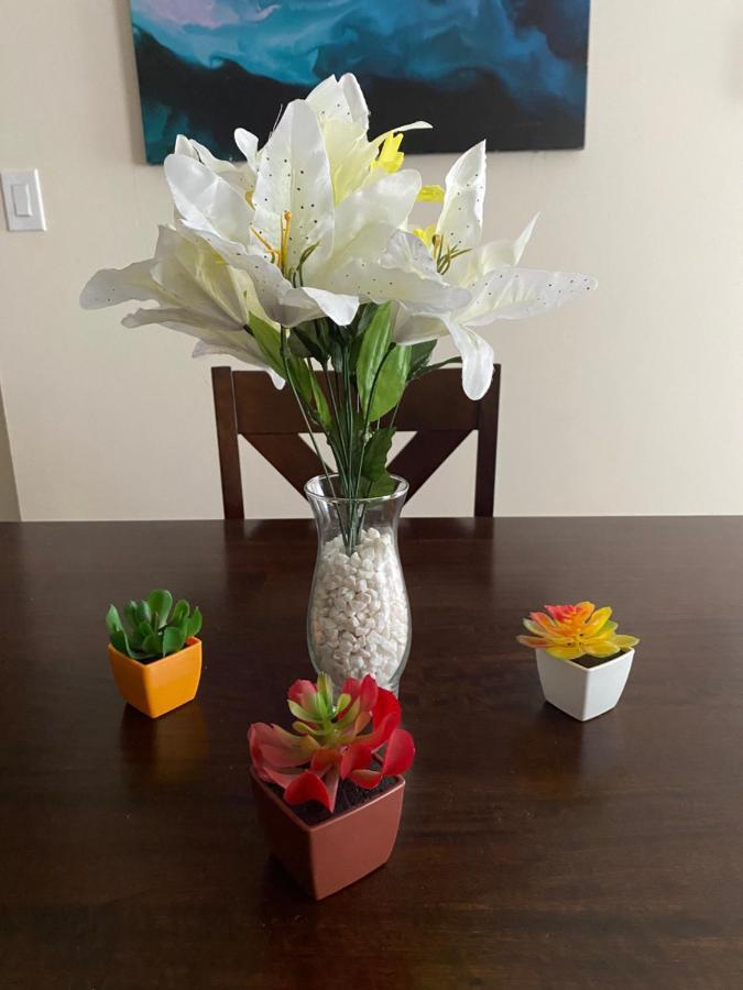 Private Room In South Philly Near Arenas! 필라델피아 외부 사진
