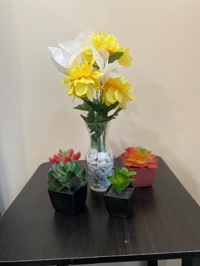 Private Room In South Philly Near Arenas! 필라델피아 외부 사진