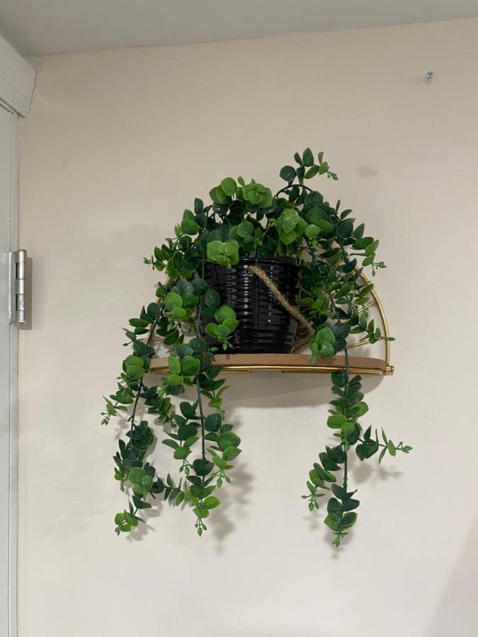 Private Room In South Philly Near Arenas! 필라델피아 외부 사진